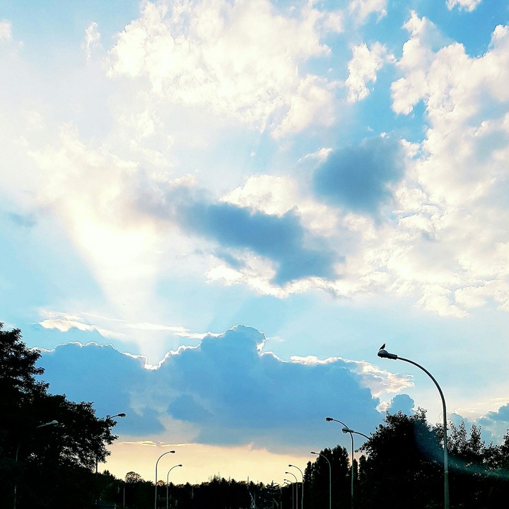 Sunlight !