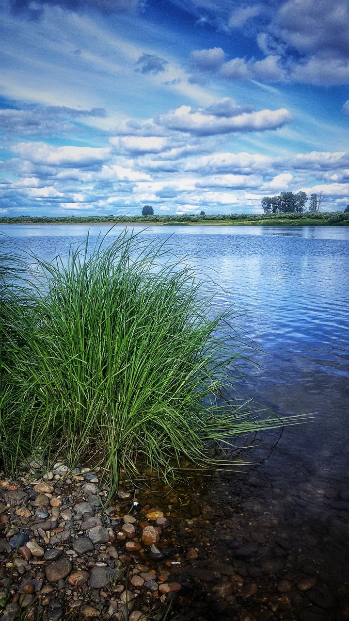 Summer river