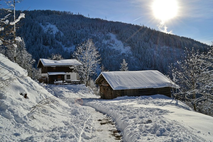 Winter Wonderland