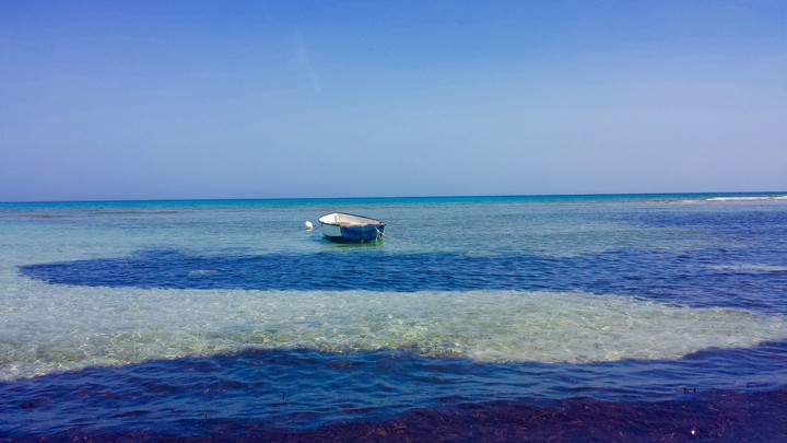 Sardinië - 04/15