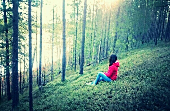 forest