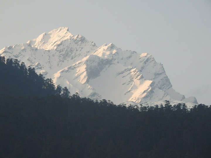 wow mounten