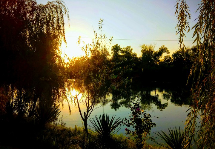 Autumn in Tashkent