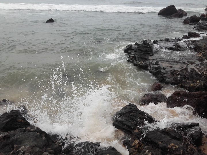 Manki Karnataka