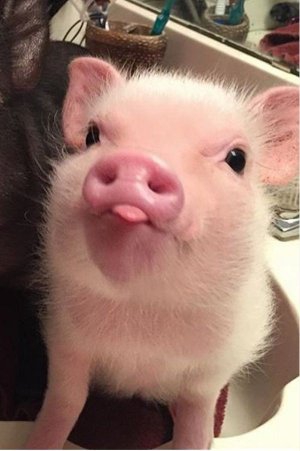 Hey ?