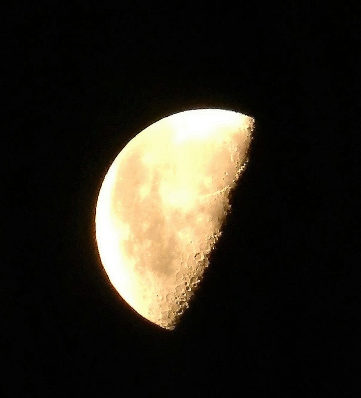 Half moon face
