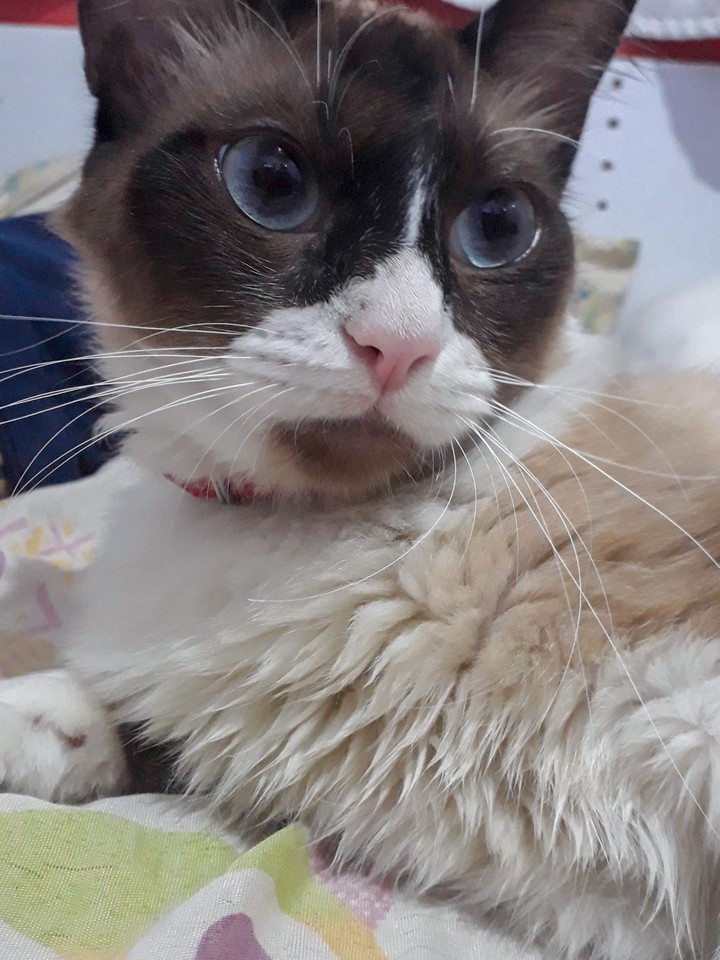 Meu bebê!