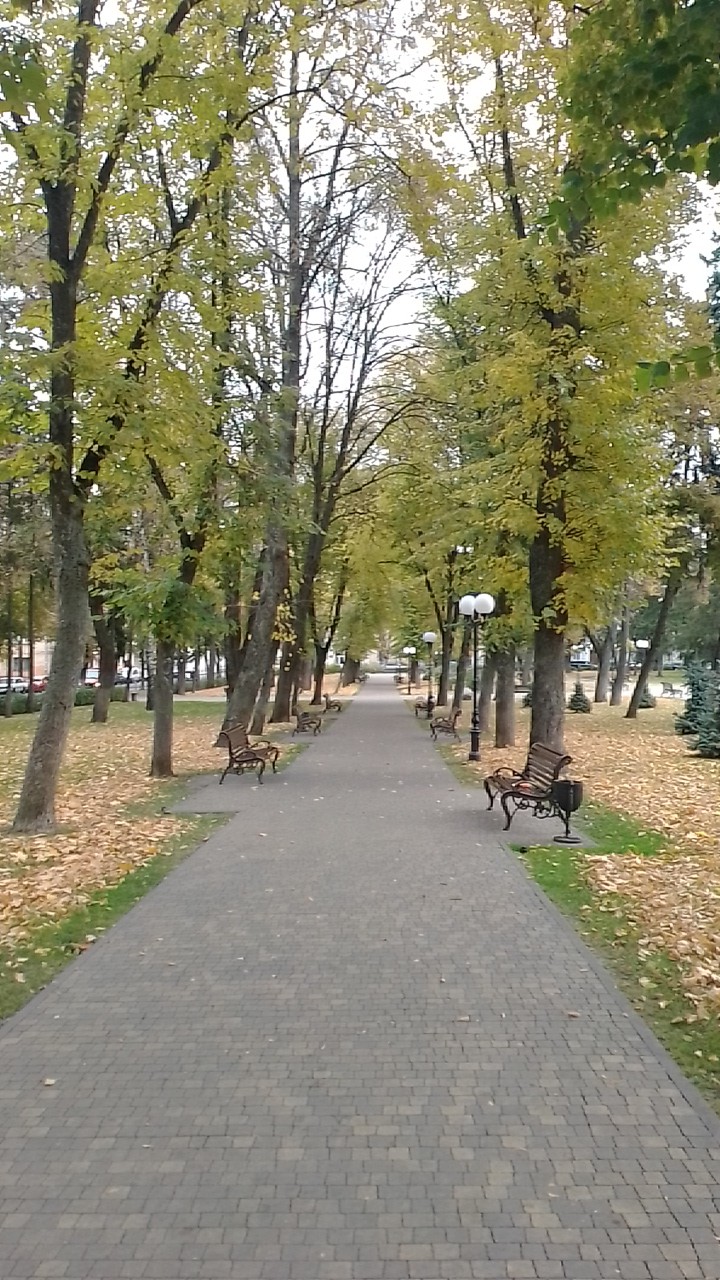 в парке осень