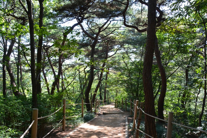 풍경이미지