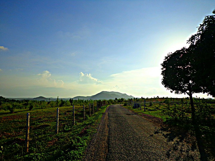 Road to the mountain