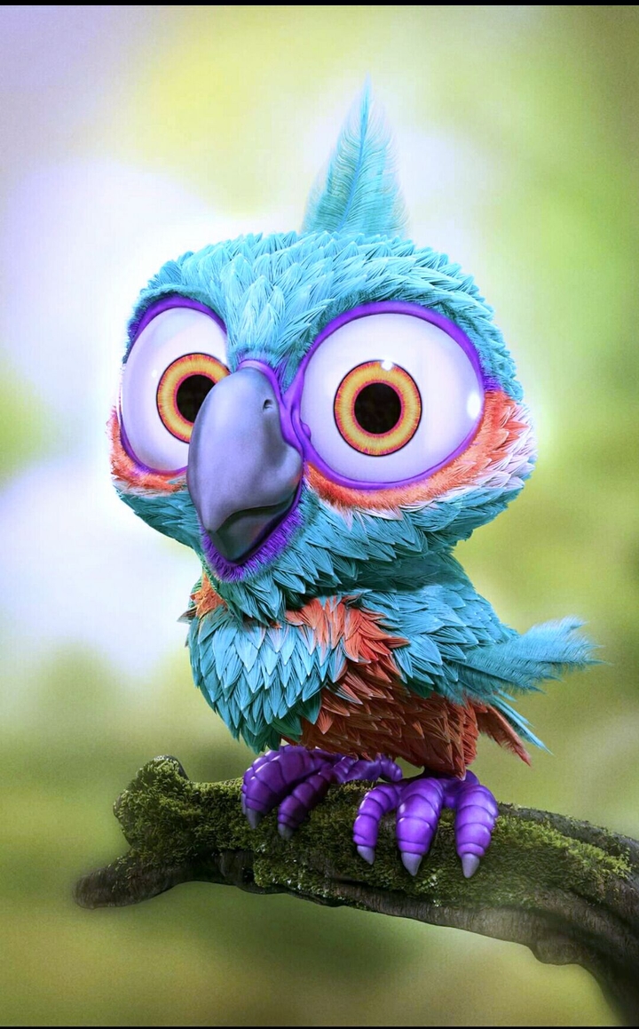 cute bird