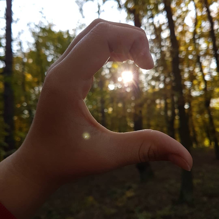 love