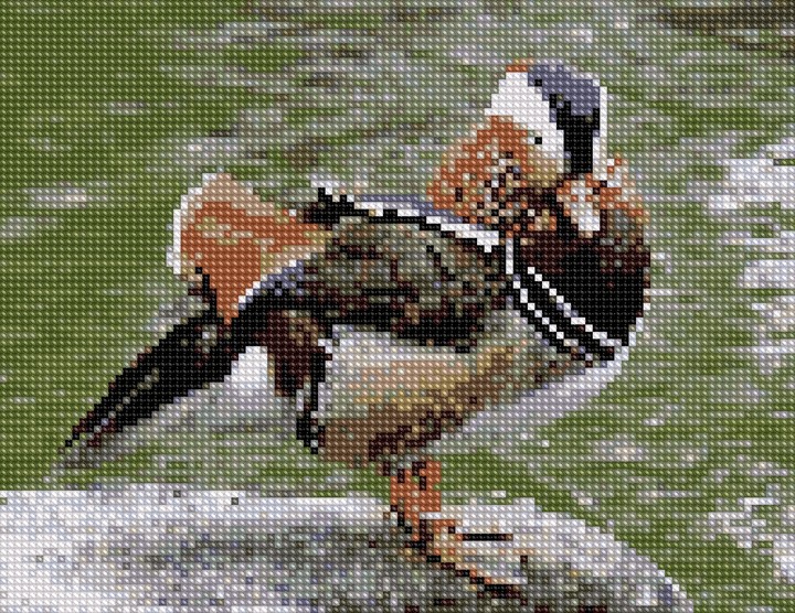 fly