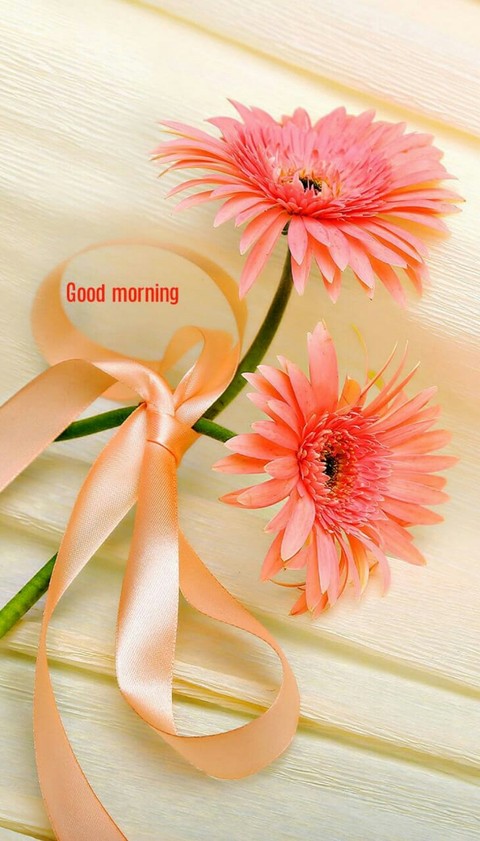 Gud mng