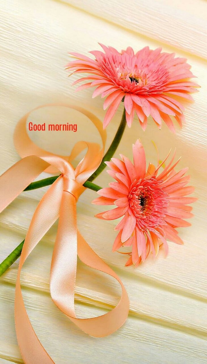 Gud mng