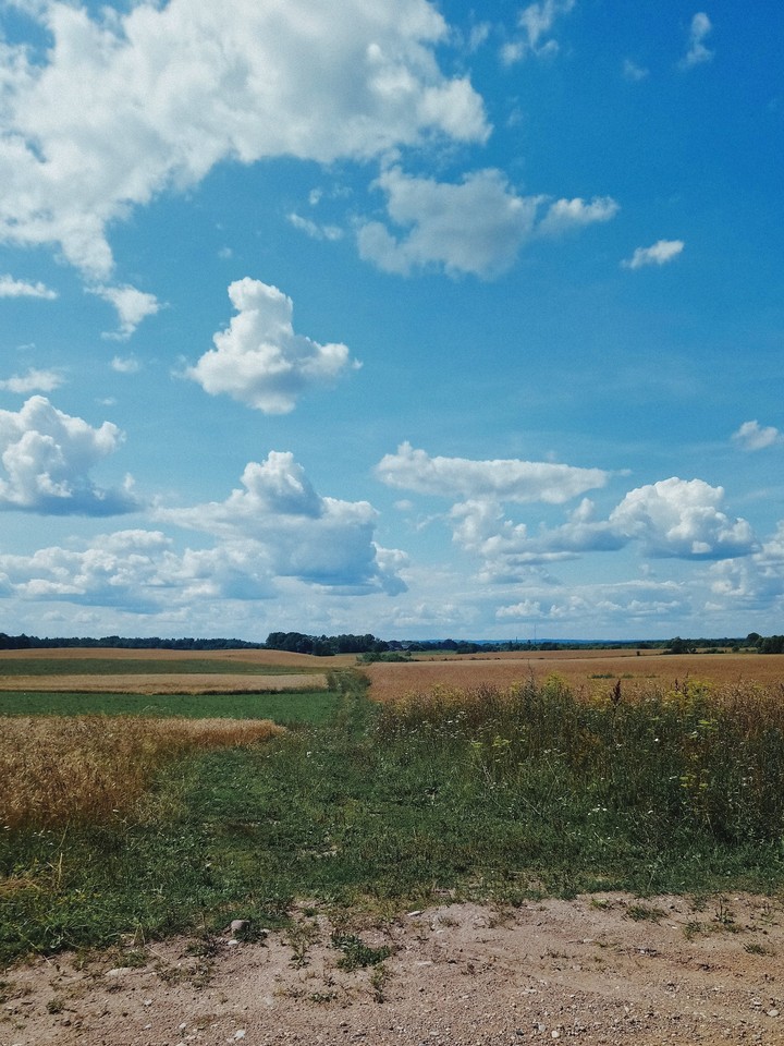Lost in Latvian countryside.