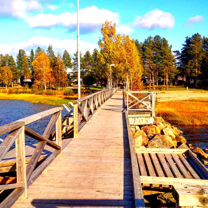 by the river