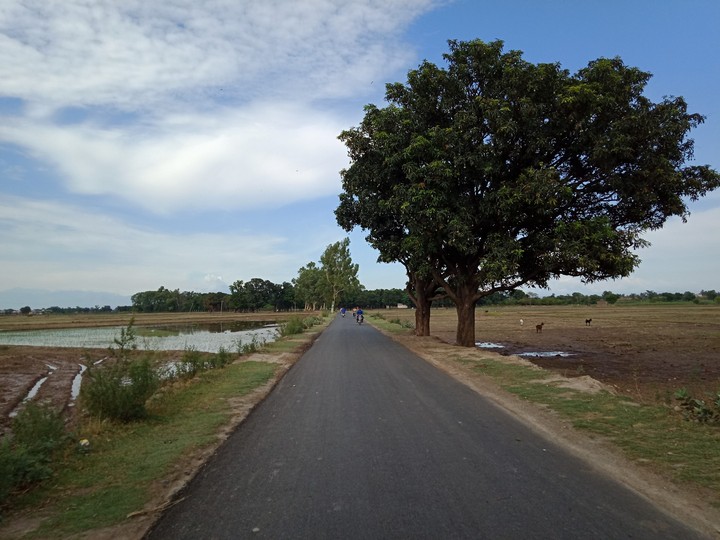 Rural road