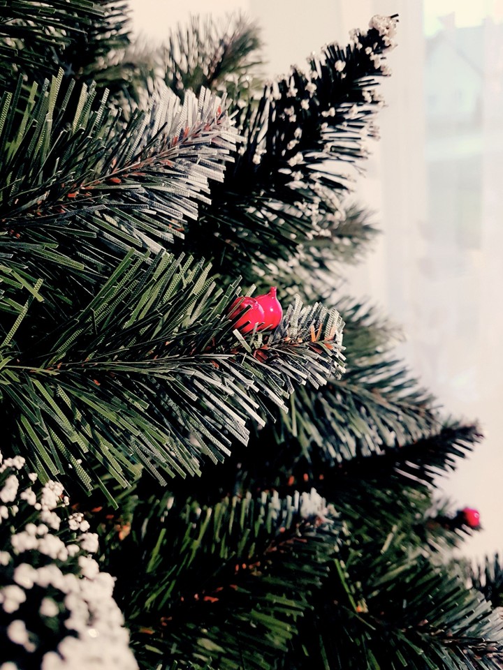Christmas tree