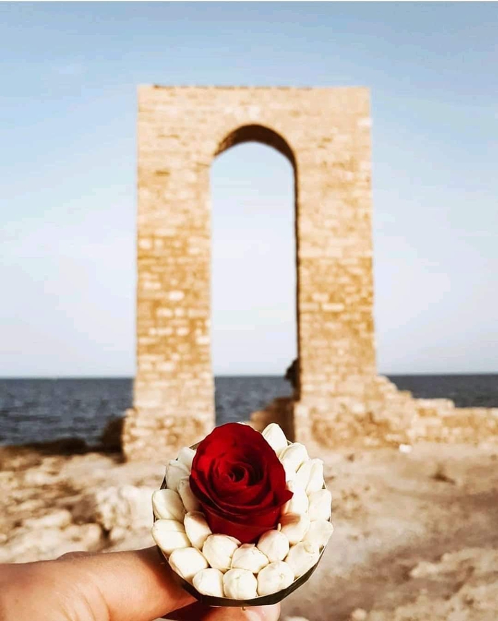 تونس المهدية /  Tunis