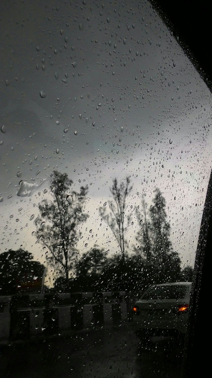 rain drops on window