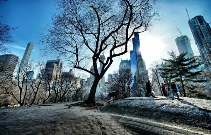 Central Park