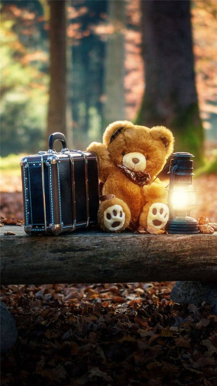 TRAVEL