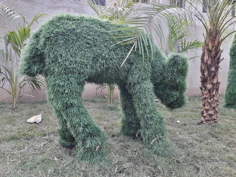 Green Deer