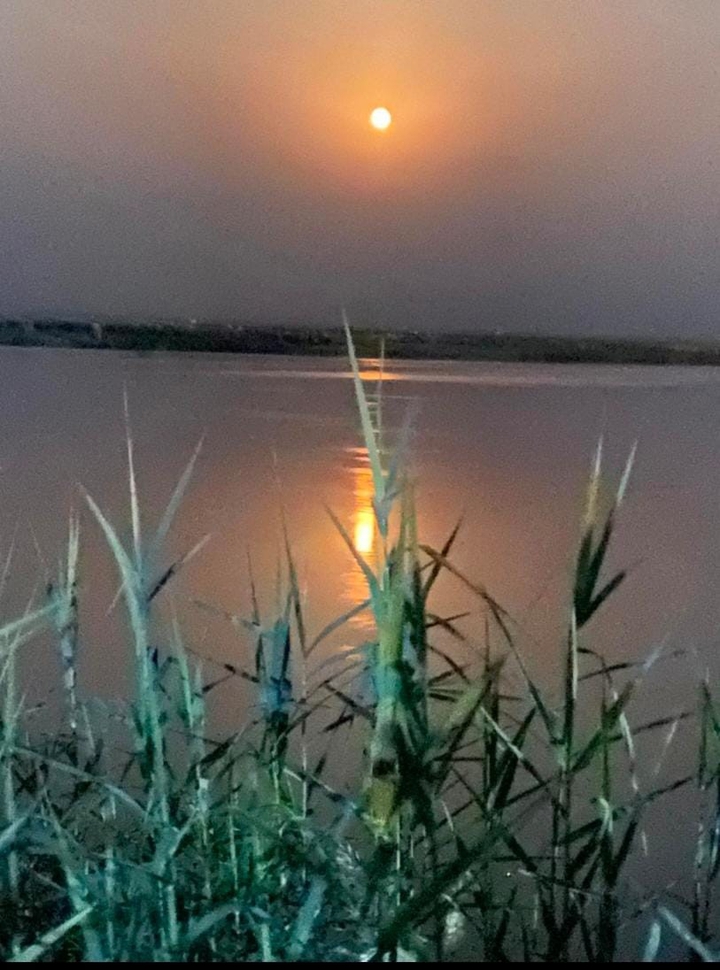 moon