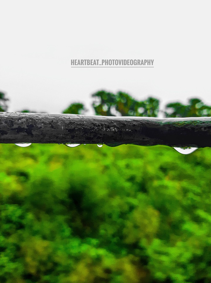 RainDrop