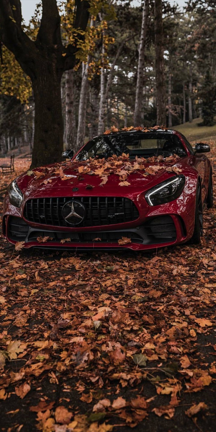 авто auto