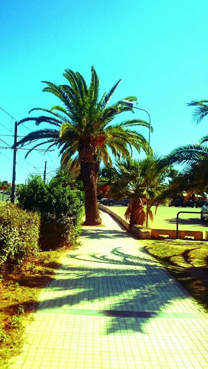 STAMATIOS