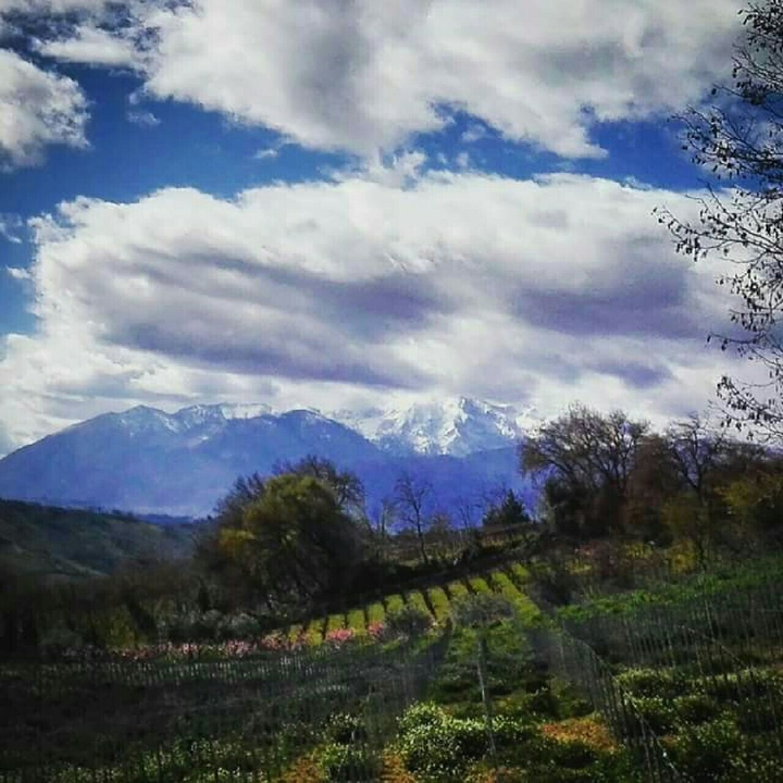Mountain