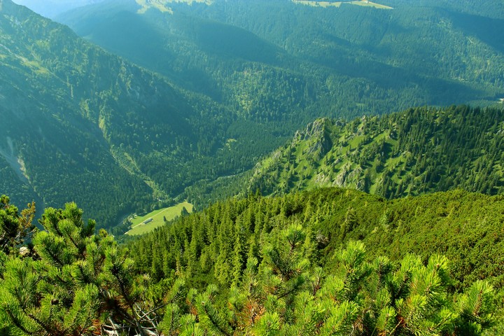 Альпы