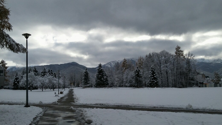 Winter