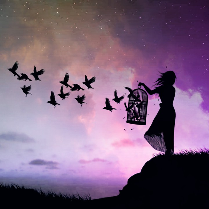 freedom