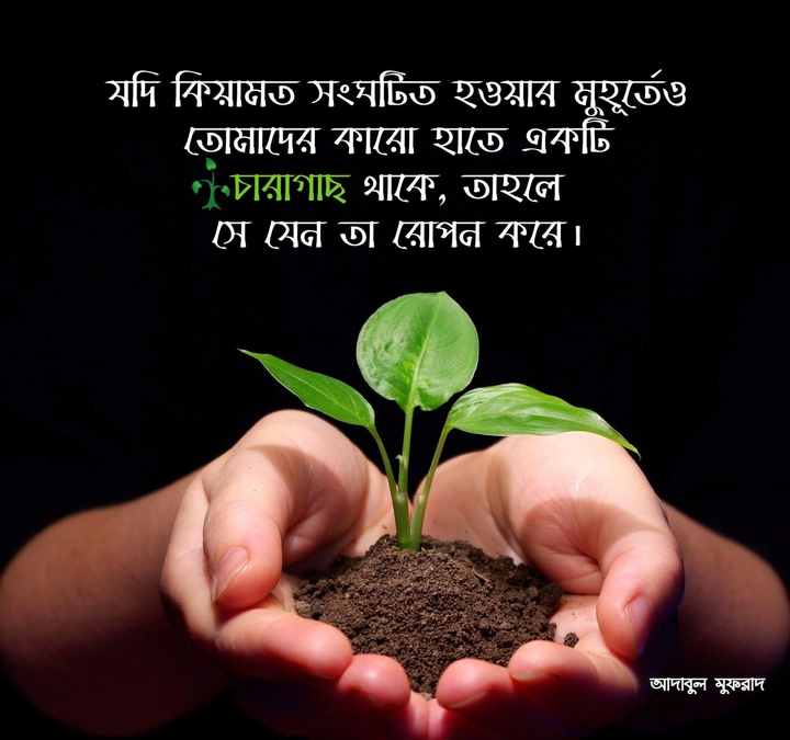 আদাবুল মুফ্রাদ