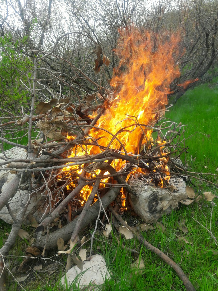 Fire