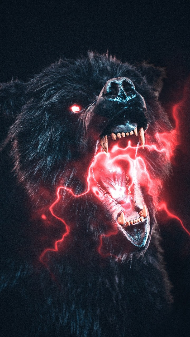 angry bear