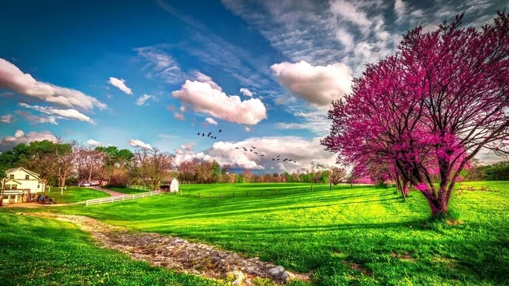 Nature