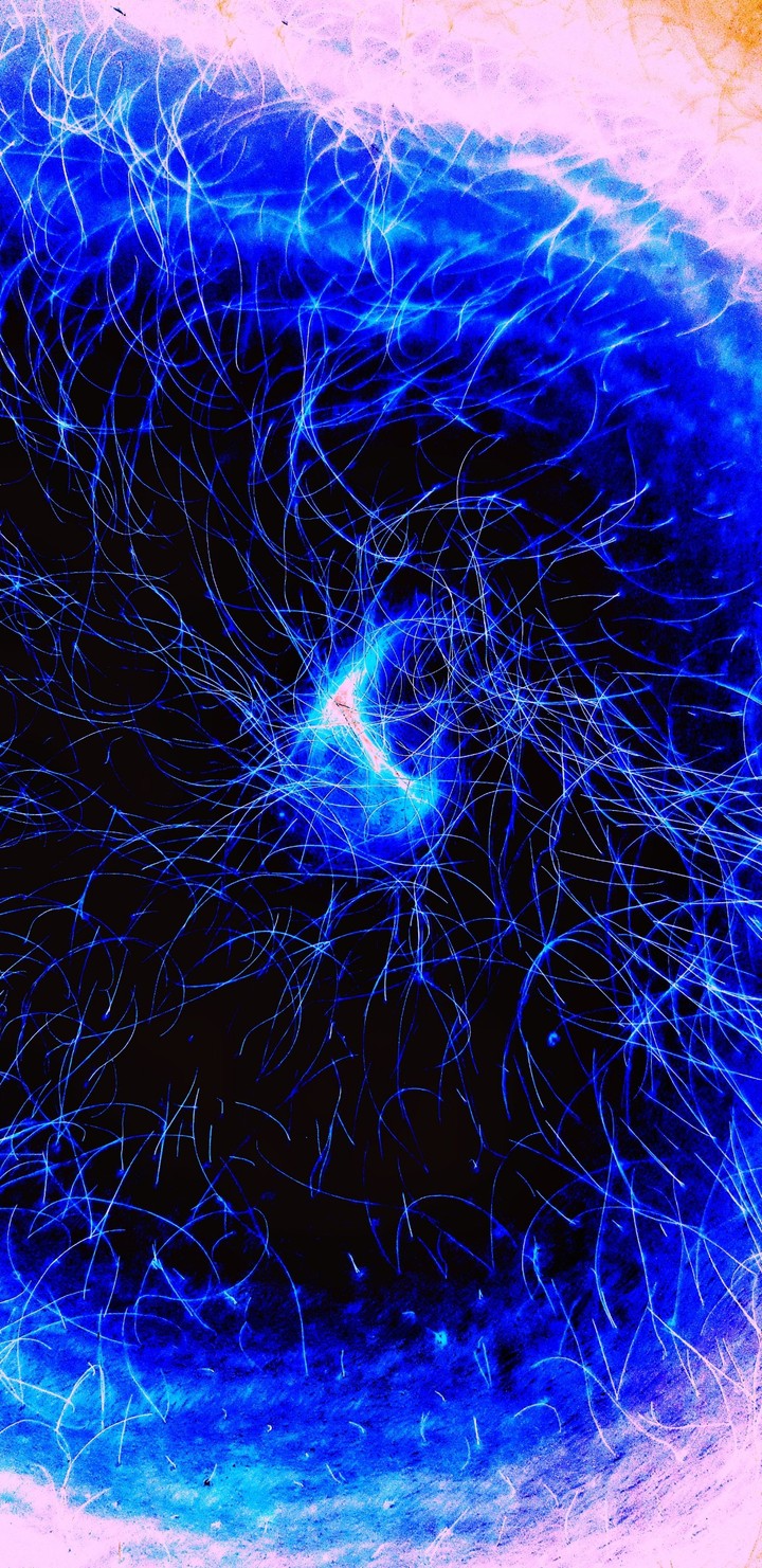 Galaxy