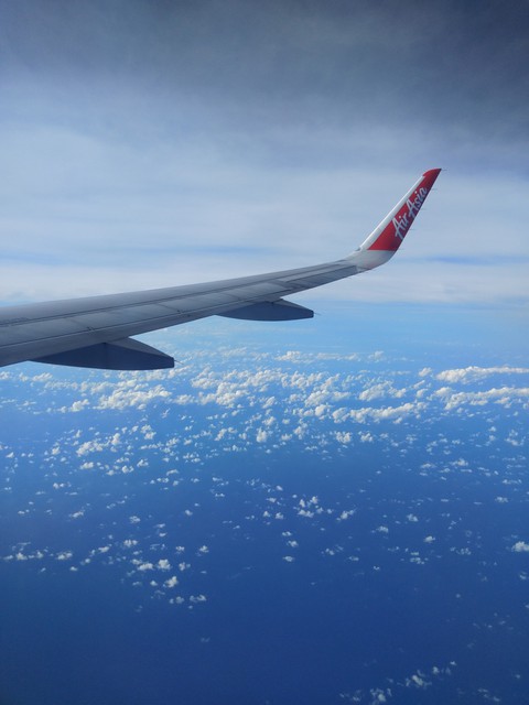 fly