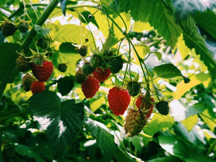 Summer