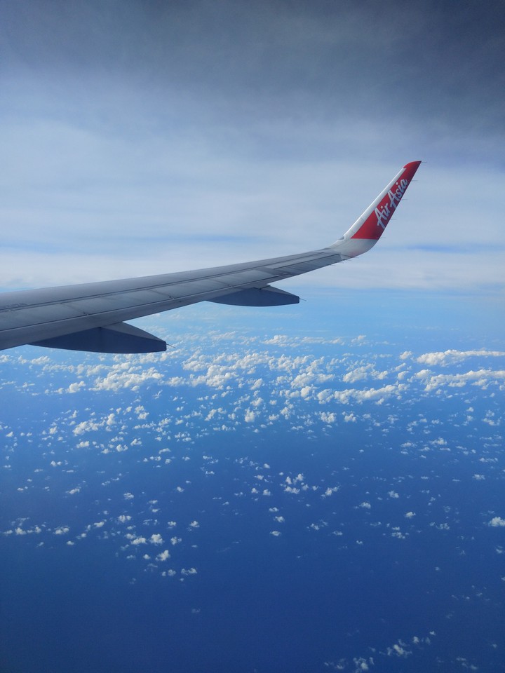 fly
