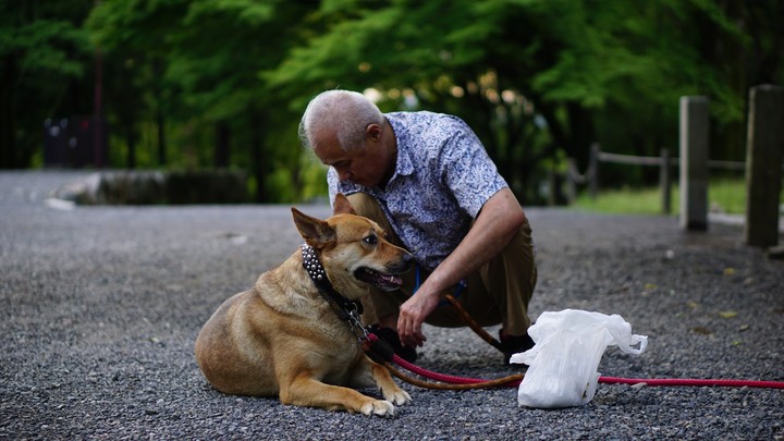 old men and his frd.
