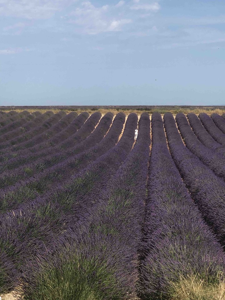 valensole