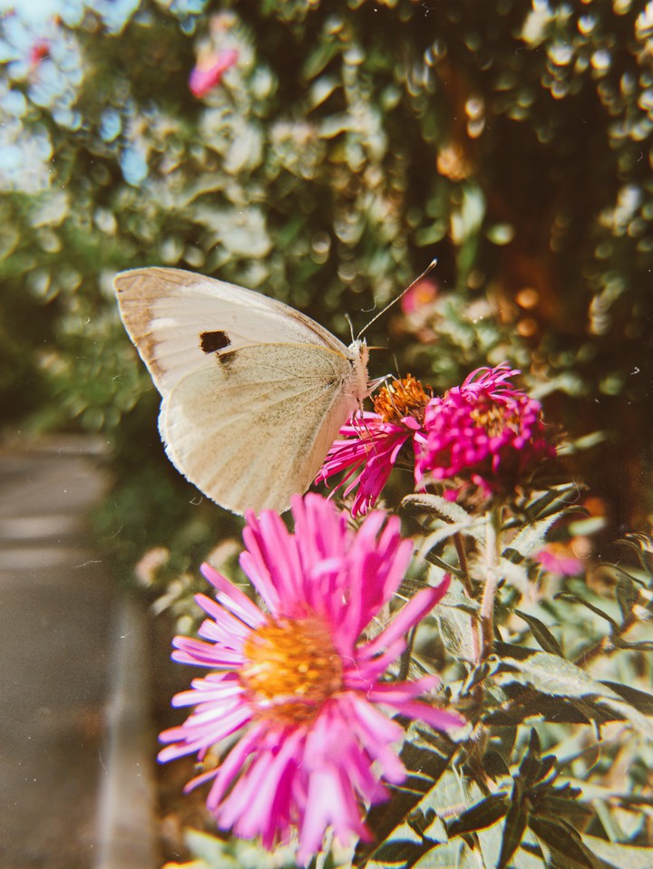 last days of September