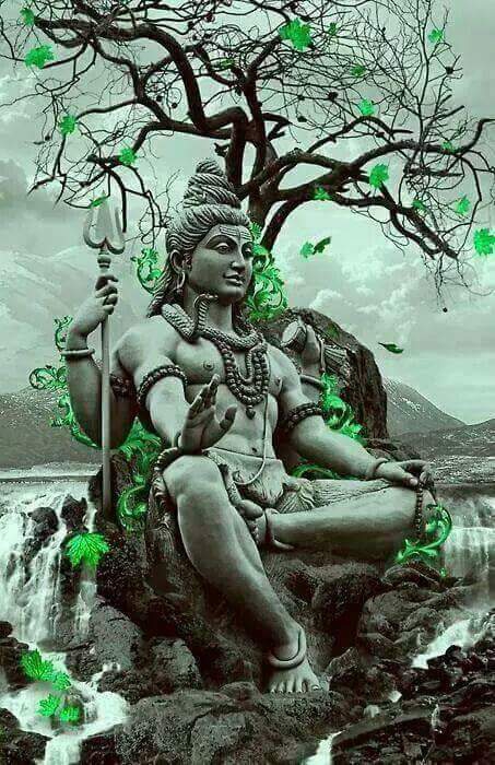 shiv
