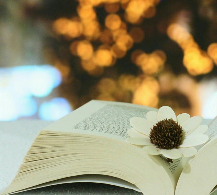 book and flower