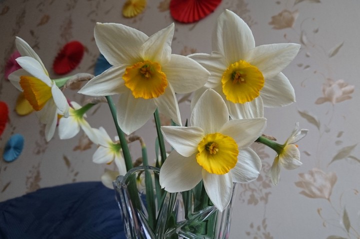 flower love